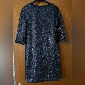 Navy Blue Sequin Embellished Sheath Dress 3/4 Sleeve